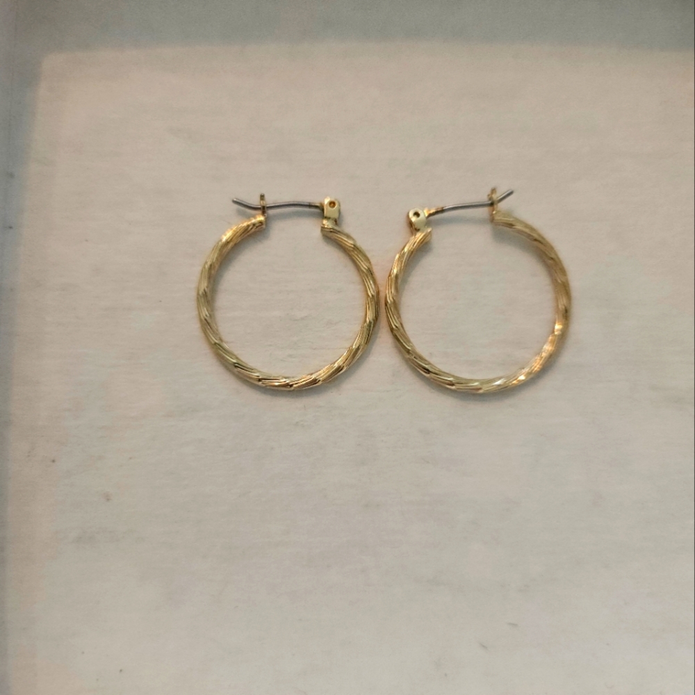 Gold Tone Hoop Earrings